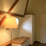 Lisensky Dvur 4* Sněžné