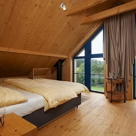 Lisensky Dvur 4* Sněžné