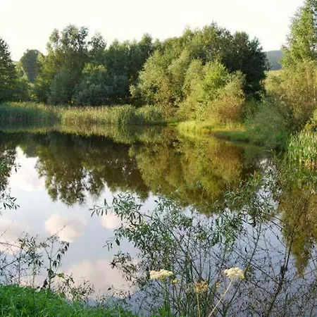 Lisensky Dvur Guest house Snezne (Pardubice)