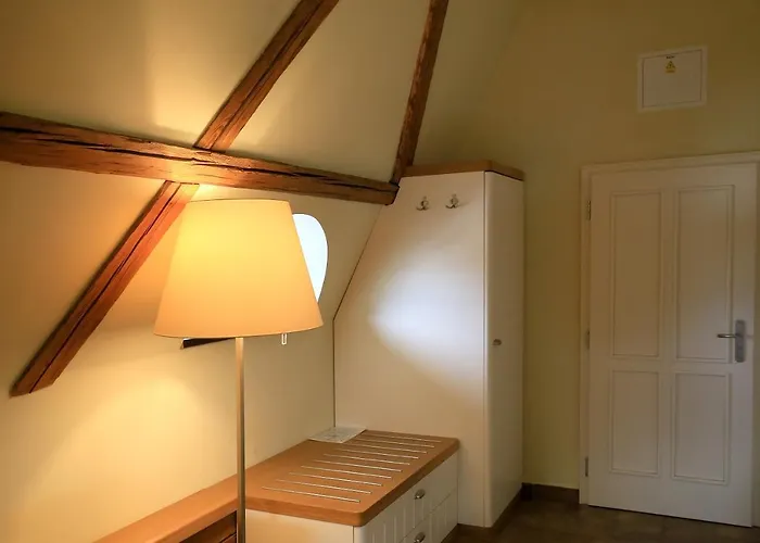 Lisensky Dvur 4* Sněžné