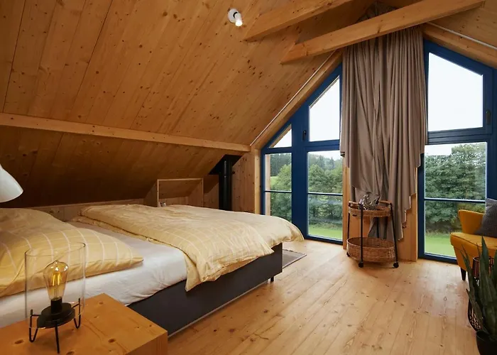 Lisensky Dvur 4* Sněžné
