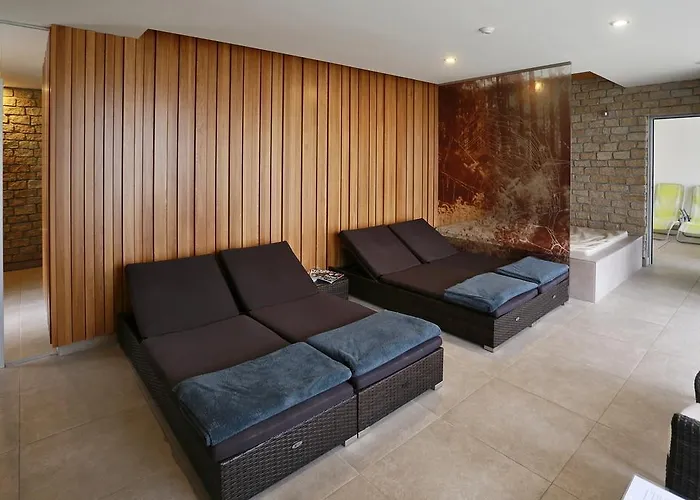 Lisensky Dvur 4* Sněžné