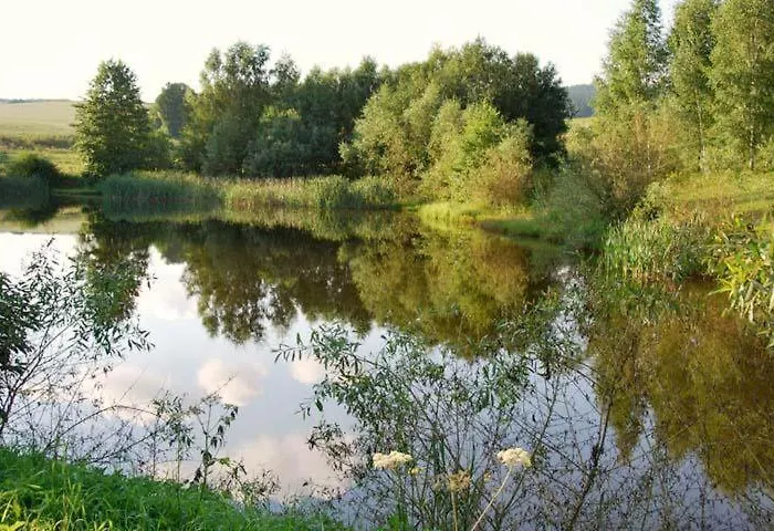 Lisensky Dvur بيت ضيافة Sněžné